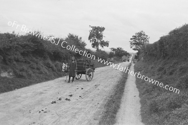 ON THE BOG OF ALLEN:ON THE BOG ROAD NEAR CLARA